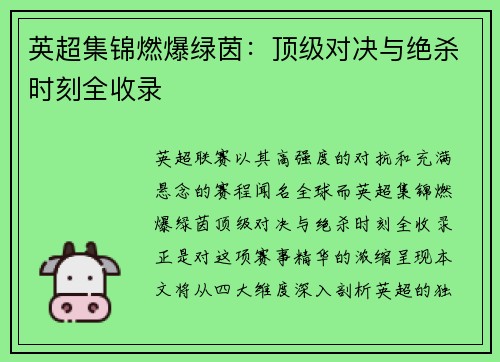 英超集锦燃爆绿茵：顶级对决与绝杀时刻全收录
