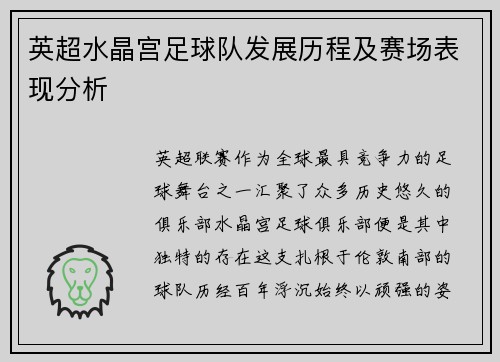 英超水晶宫足球队发展历程及赛场表现分析